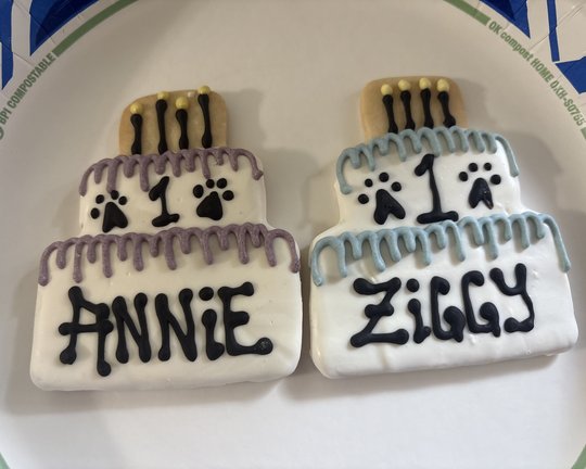 Two custom-iced birthday cookies in cake shapes — one says ANNIE in purple, one says ZIGGY in blue